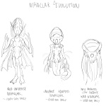 nihallak-evolution